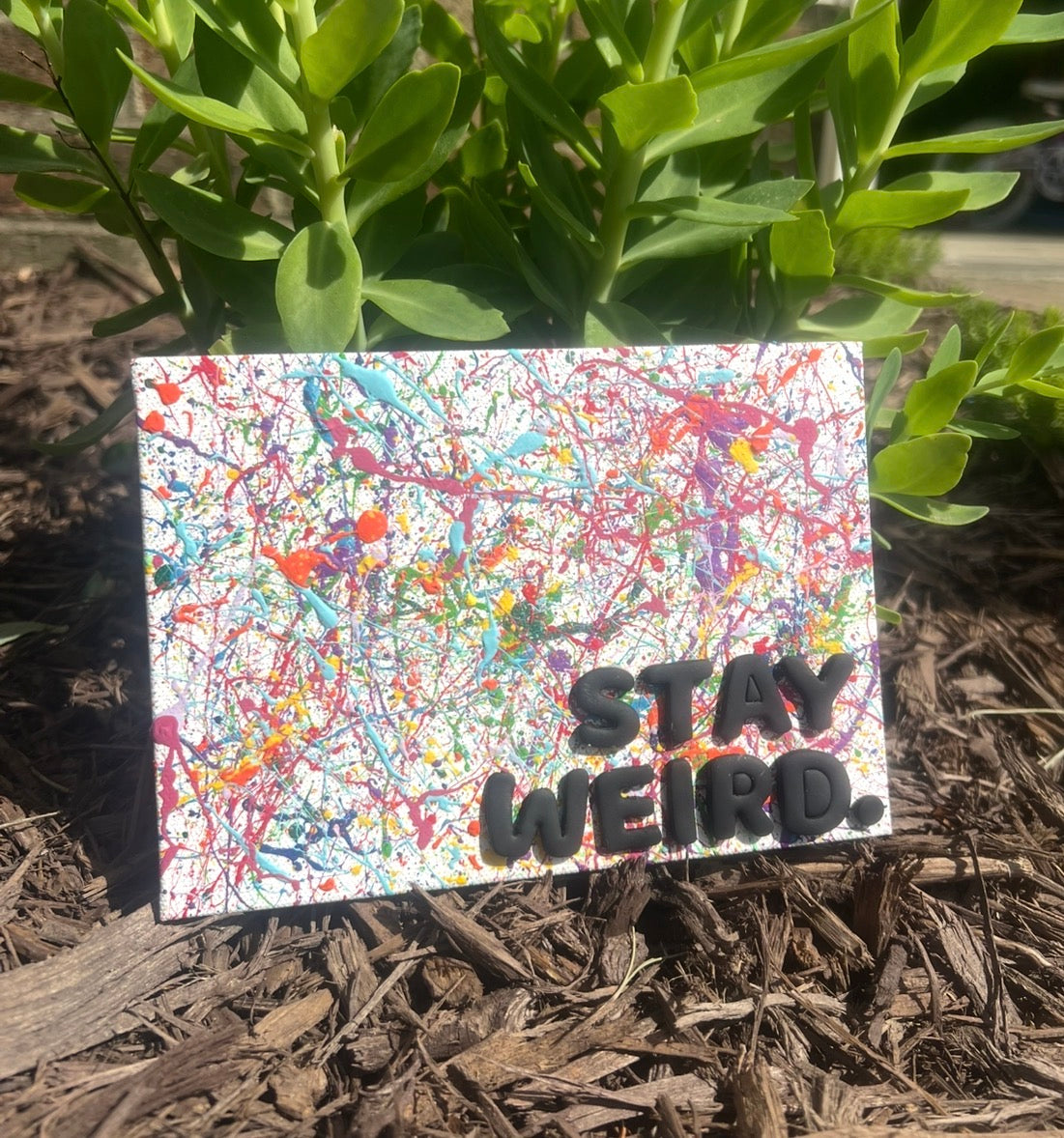 Stay Weird paint splatter canvas