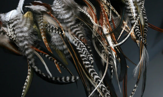 Hair Feathers (clip in)